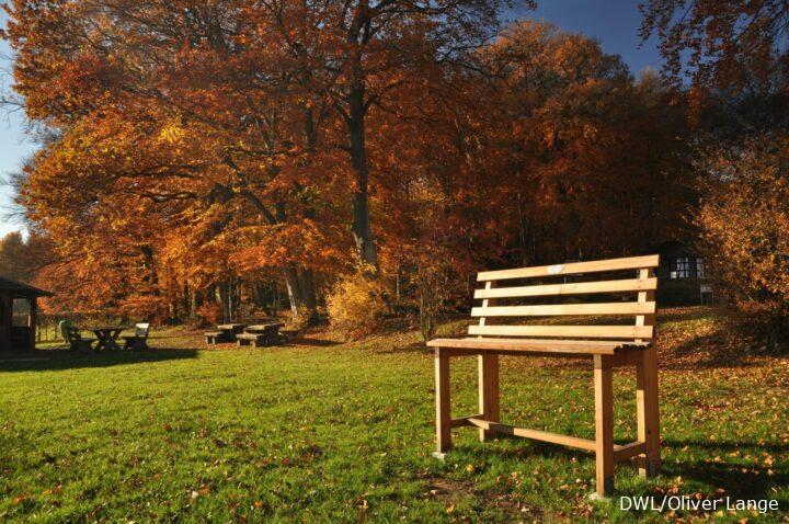 Bank an Rastplatz vor herbstlichem Wald