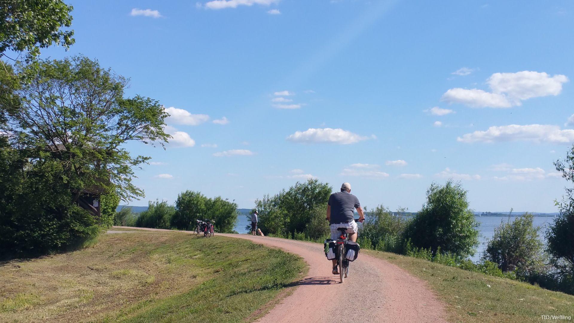 Ein Radfahrer fährt bei strahlendem Sonnenschein auf einem kurvigen Deichweg entlang, mit Blick auf den See und umgeben von grüner Natur.