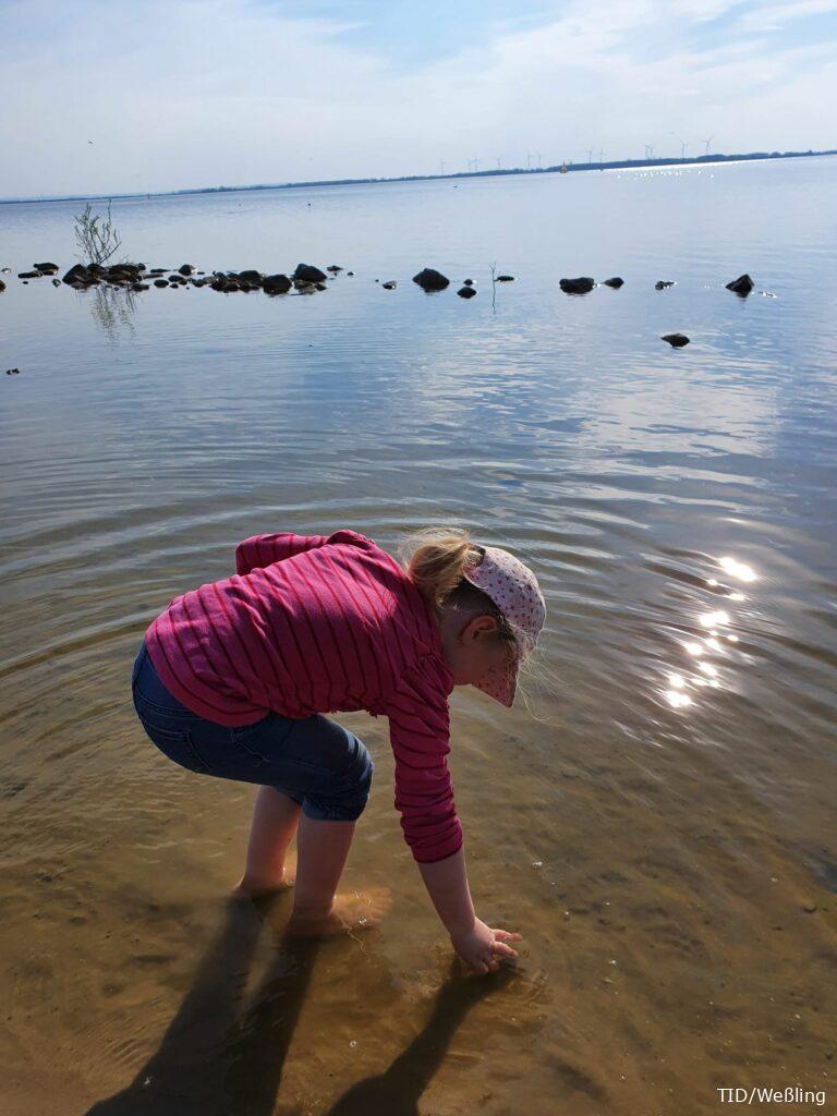 Wasser Uferbereich Dümmer mit Kind