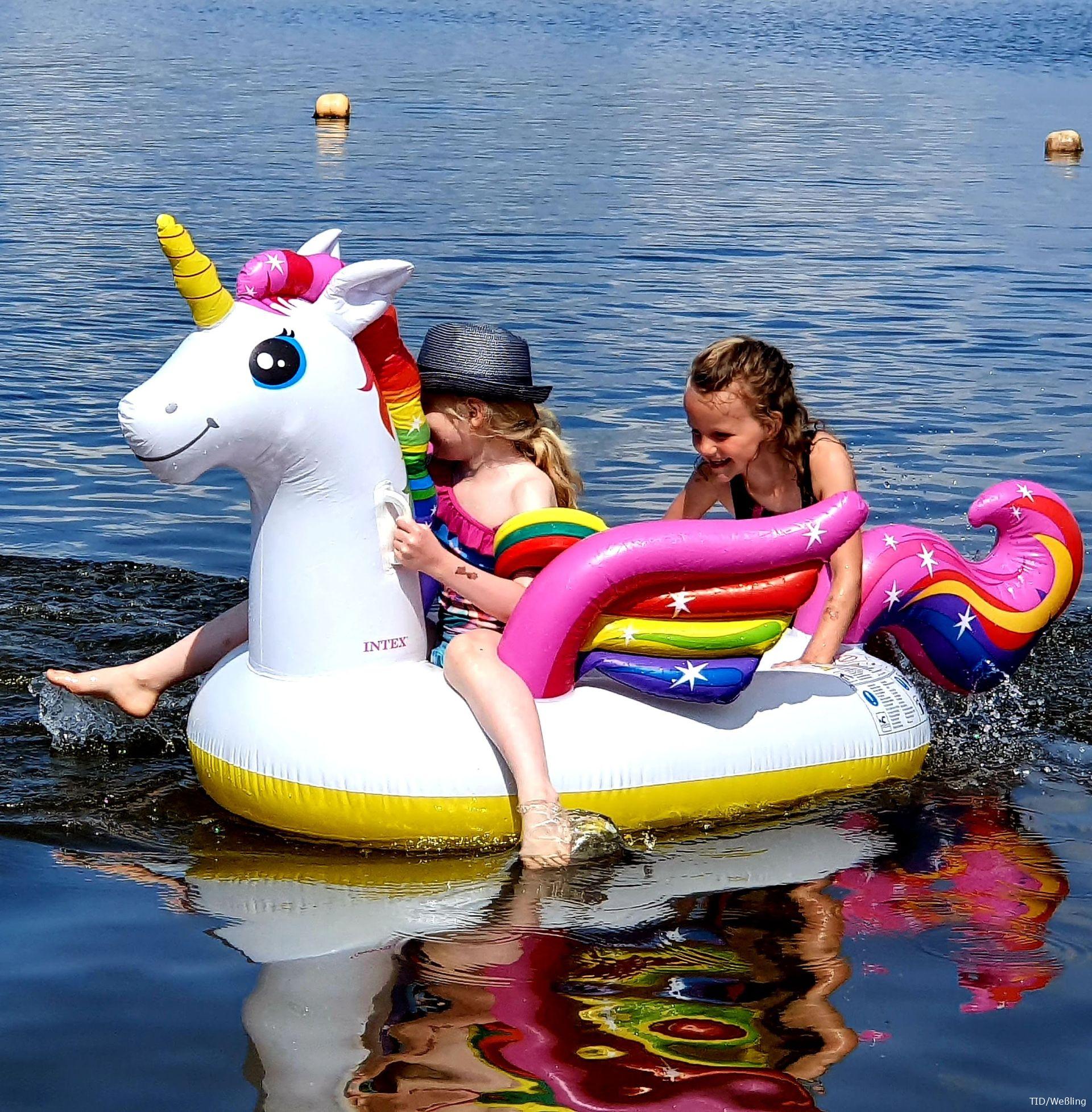 Einhorn im See