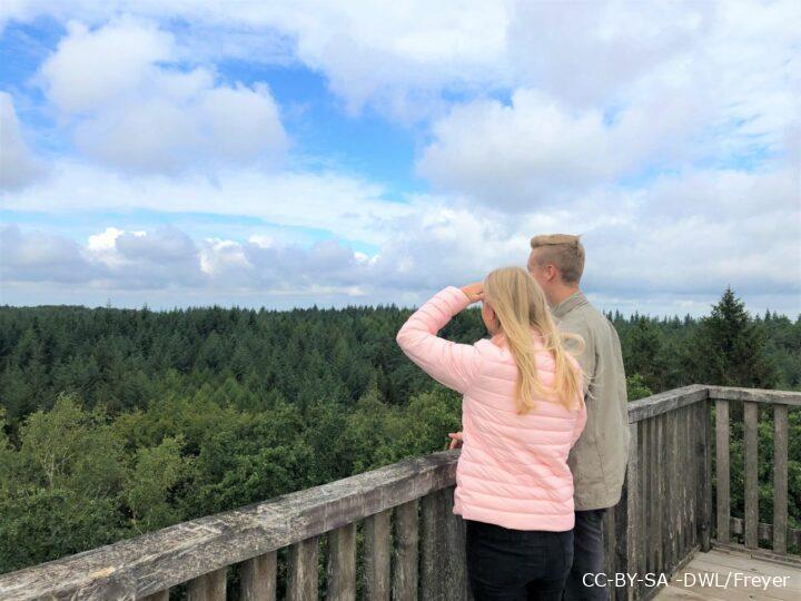 Junges Paar auf dem Aussichtsturm Mordkuhlenberg