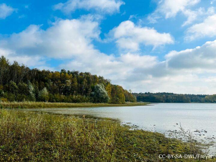 Blick auf Bergsee bei Damme
