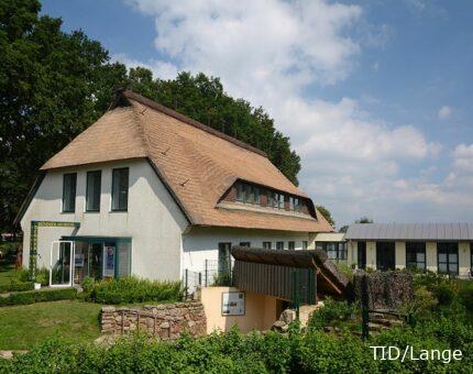 Das Dümmer-Museum – ein charmantes Reetdachhaus, das spannende Einblicke in Natur, Geschichte und Kultur der Dümmer-Region bietet.