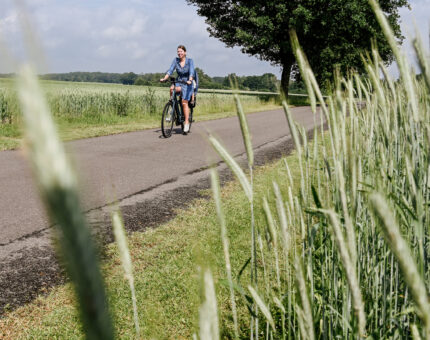 Eine Frau fährt auf einem Fahrrad auf der Straße an einer Wiese entlang