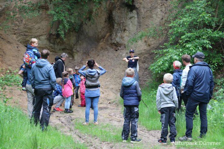 Gruppe bei einer Naturpark Dümmer Führung