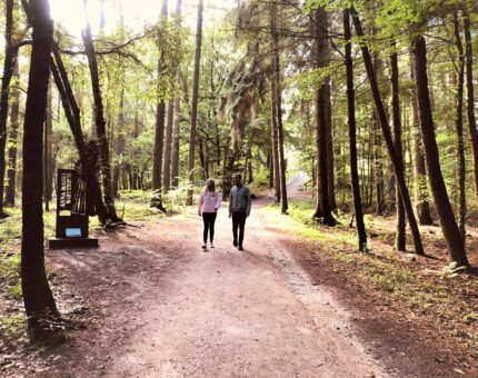 Zwei junge Menschen wandern in den Dammer Bergen