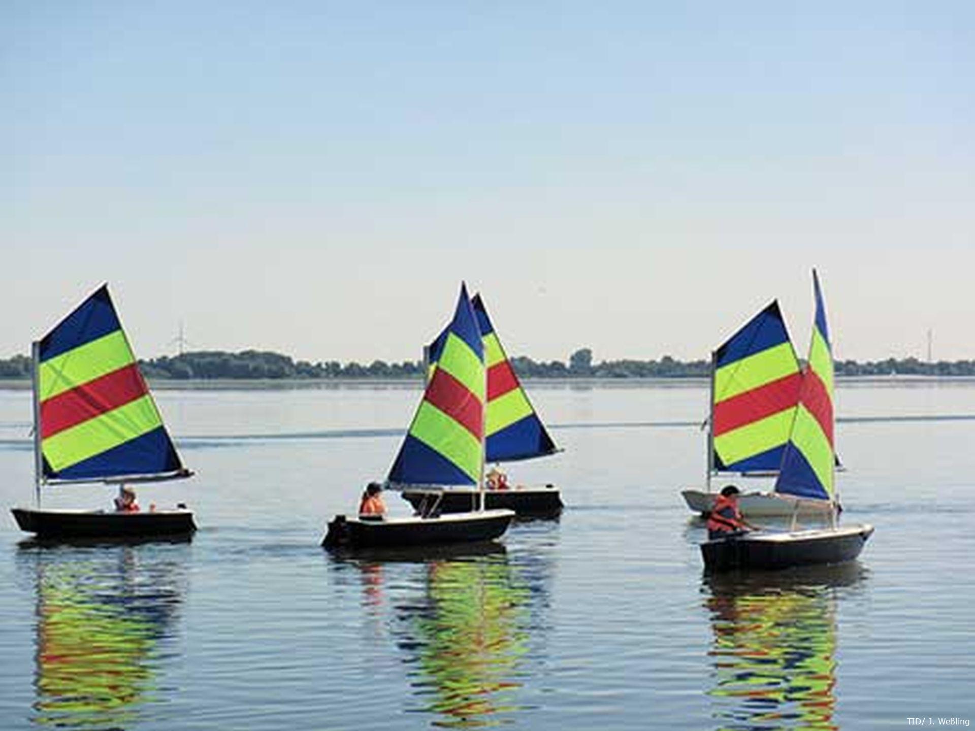 Vier kleine Segelboote mit bunten Segeln und Kindern in Schwimmwesten auf dem ruhigen Wasser des Dümmers.