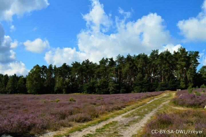 Kirchdorfer Heide Wanderweg