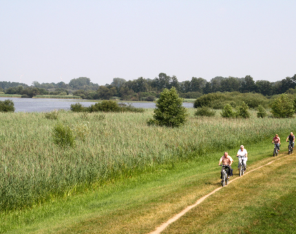 Radfahrer auf Deich am See