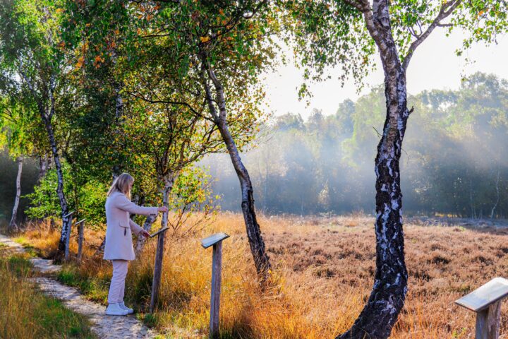 Tourist am Erlebnispfad Sulinger Moor