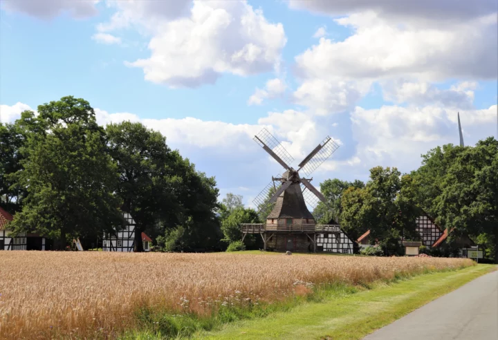 Historische Bockwindmühle inmitten eines goldenen Getreidefelds bei strahlendem Sommerwetter im DümmerWeserLand.